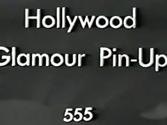 Hollywood Glamour Pin-up 555