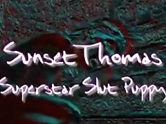 Sunset Thomas - Superstars Of Porno Sunset Thomas Scene 1